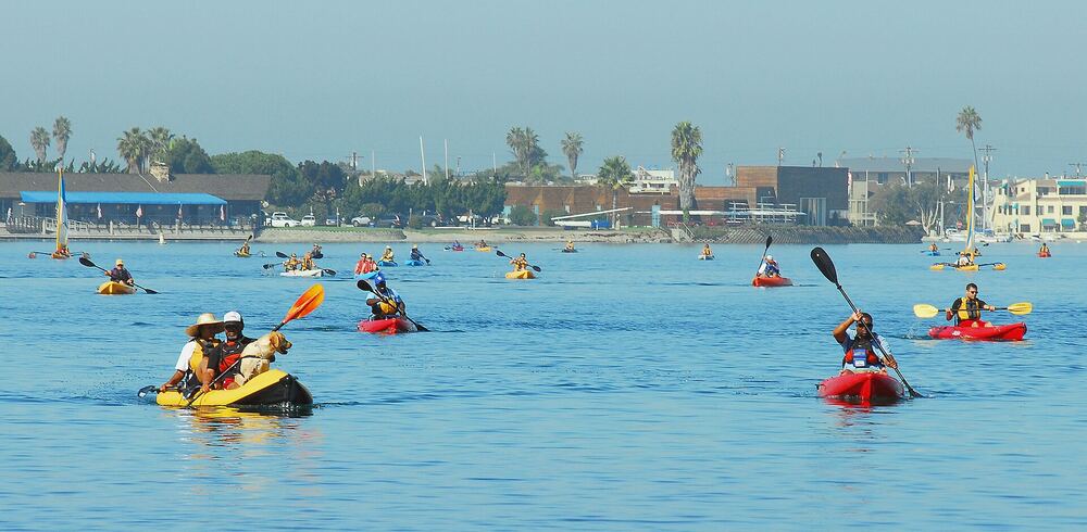 Veterans kayaking together on a bay during an adaptive sports clinic